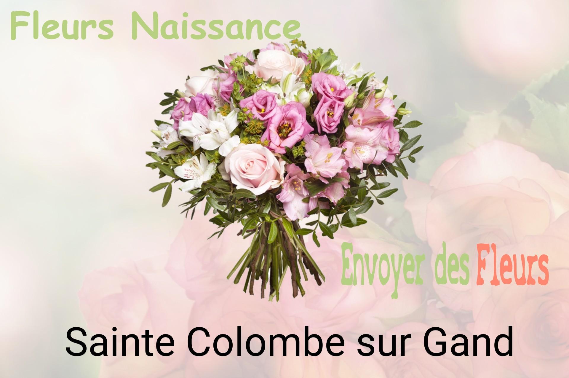 Bouquet de fleurs de naissance livré à Sainte-Colombe-sur-Gand