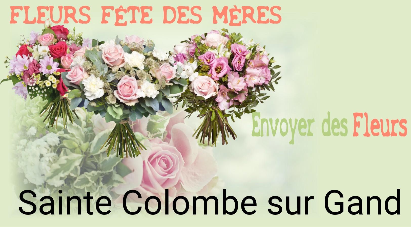 Bouquet de Fête des Mères livré à Sainte-Colombe-sur-Gand